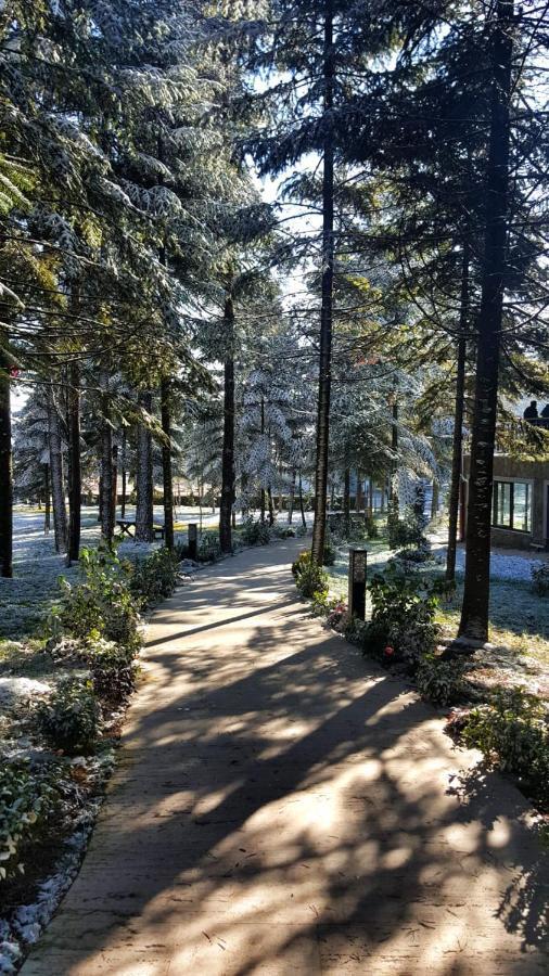 Bolu Koru Hotels Spa & Convention Yolcatı Exterior foto